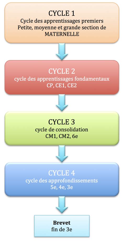 Cycle 1 .